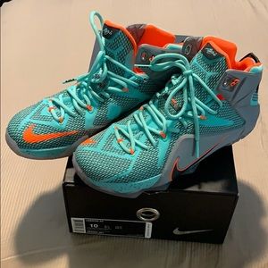 Nike Lebron James XII